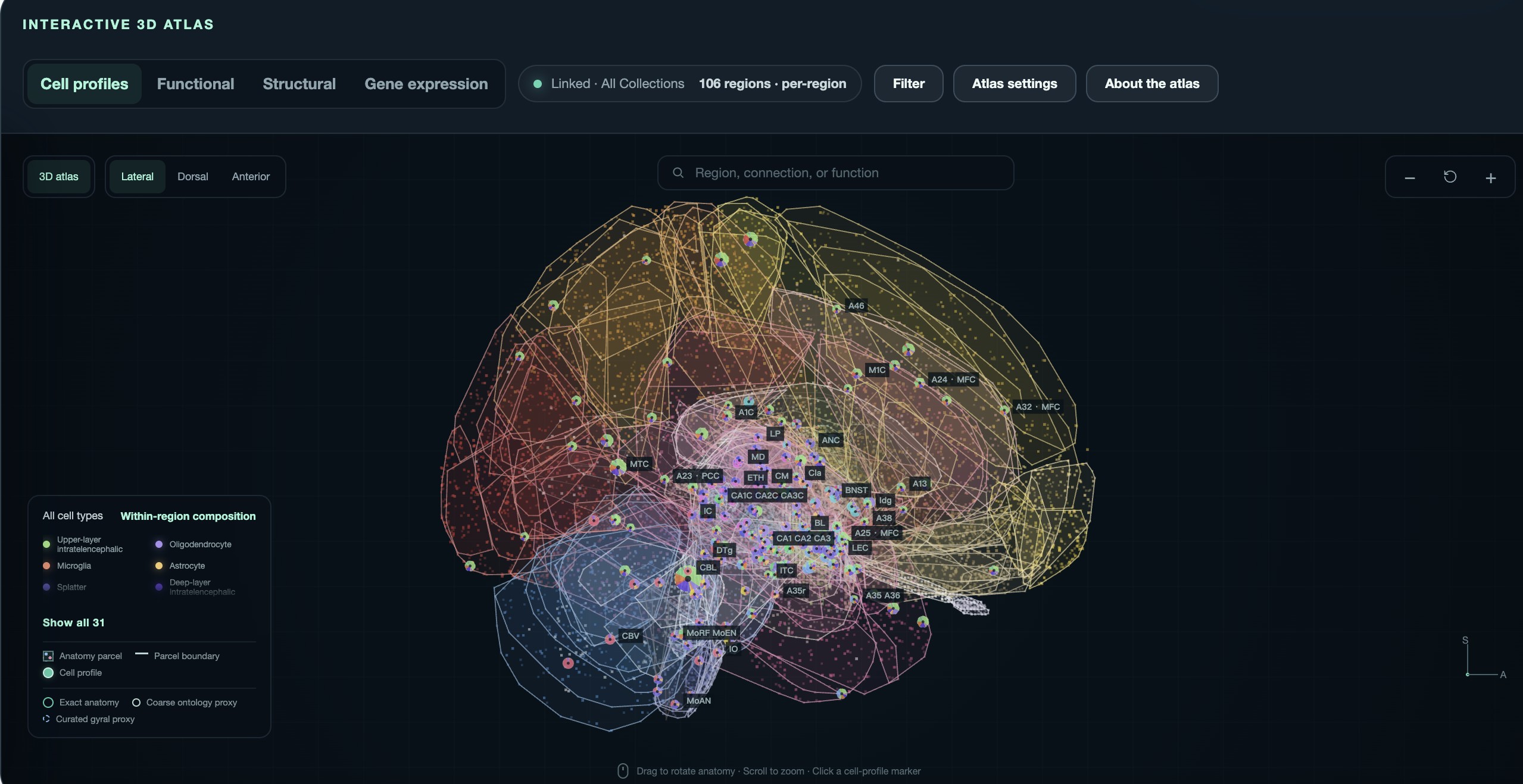 顺为投了一位北大PI，想用AI“解密”人脑